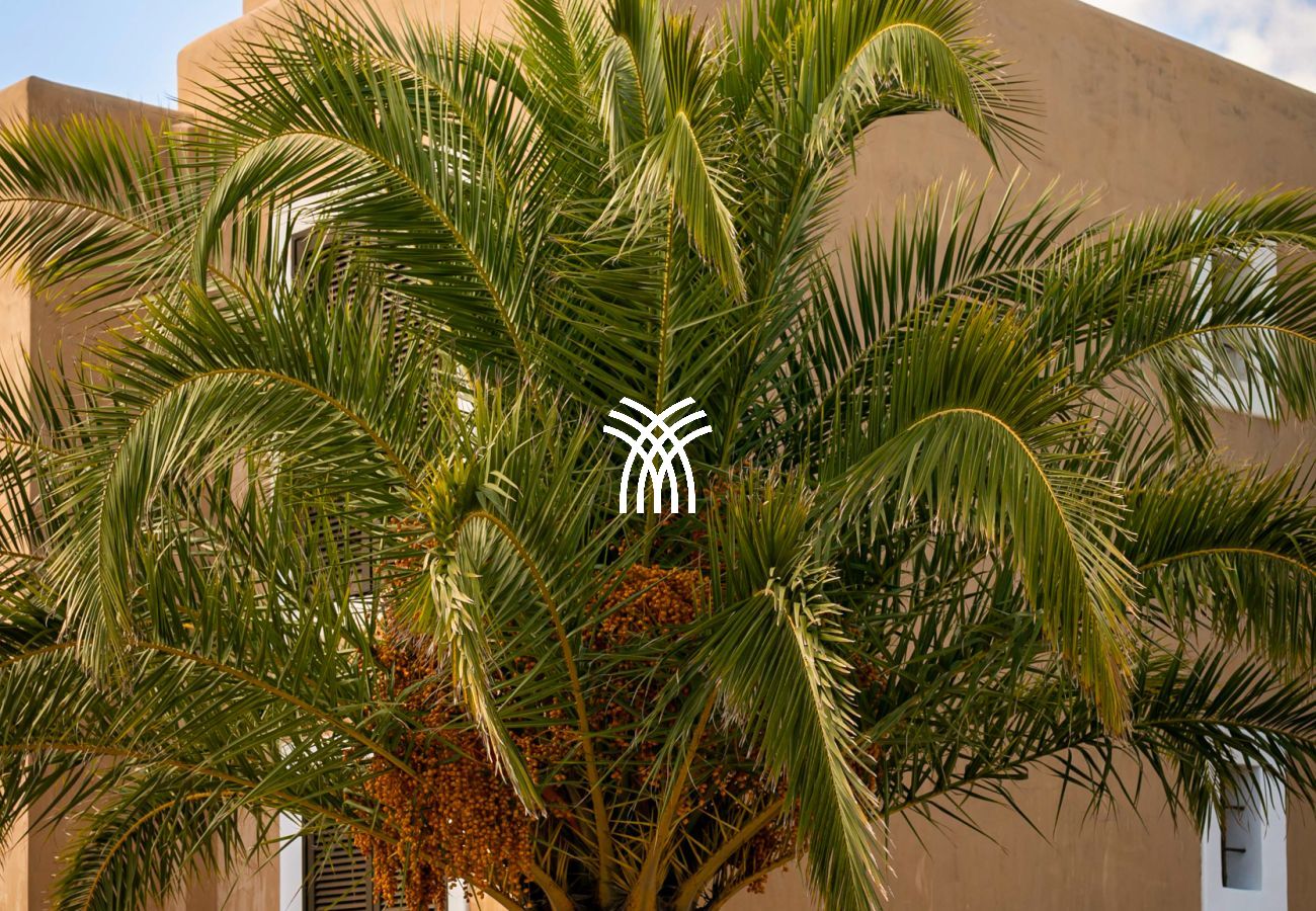 Villa in Formentera - Can Noves