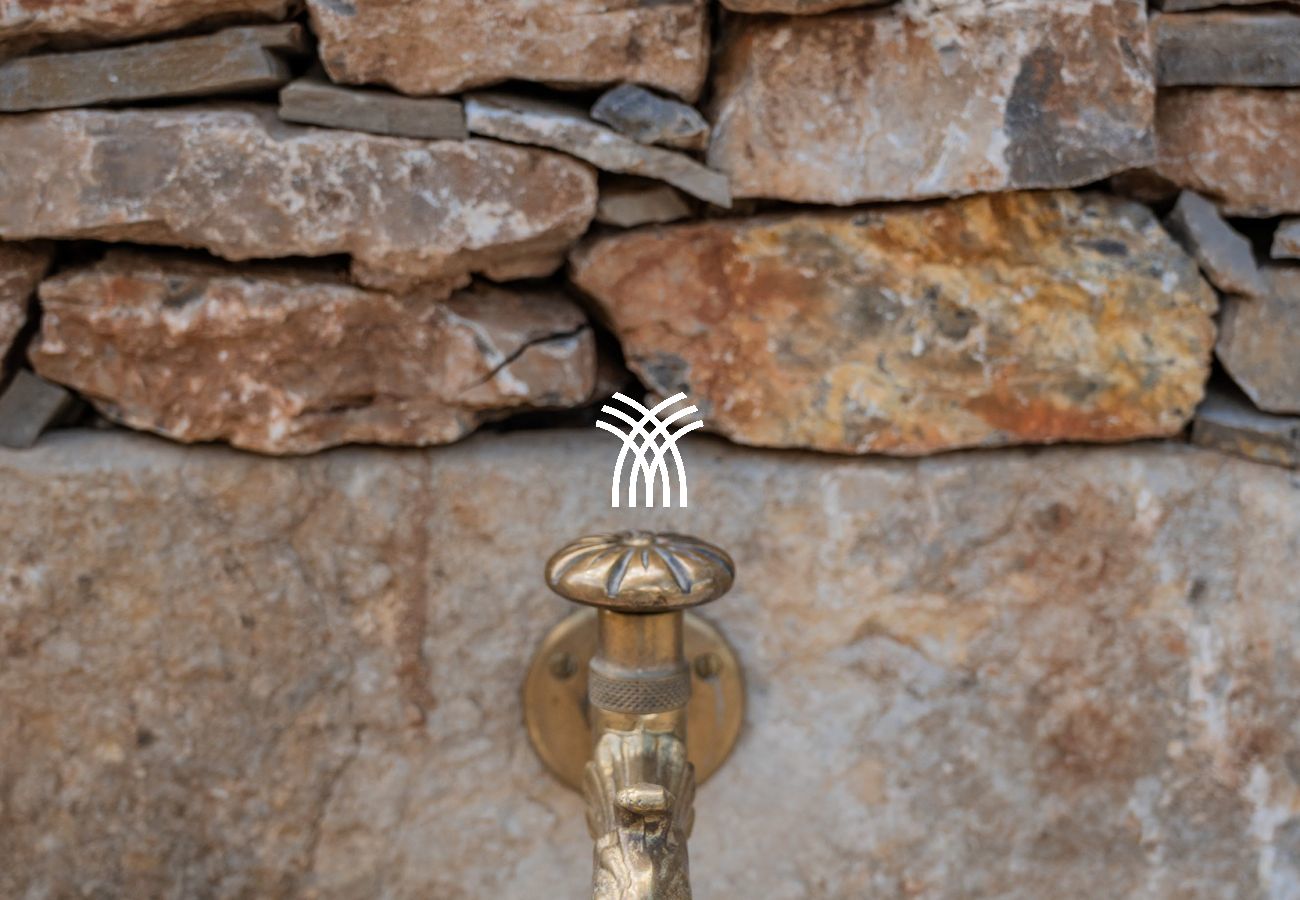 Villa in Saint Remy de Provence - Bastidon