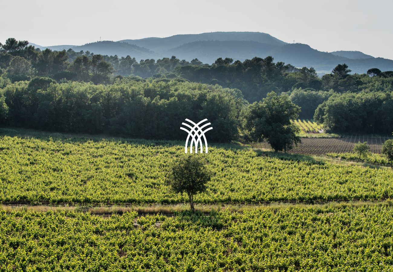 Villa in Saint Remy de Provence - Bastidon