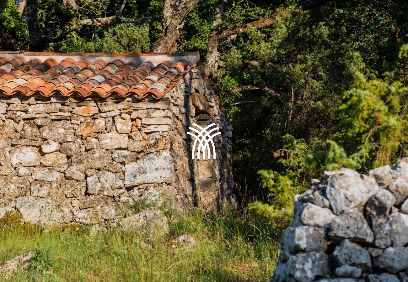 Villa in Saint Remy de Provence - Bastidon