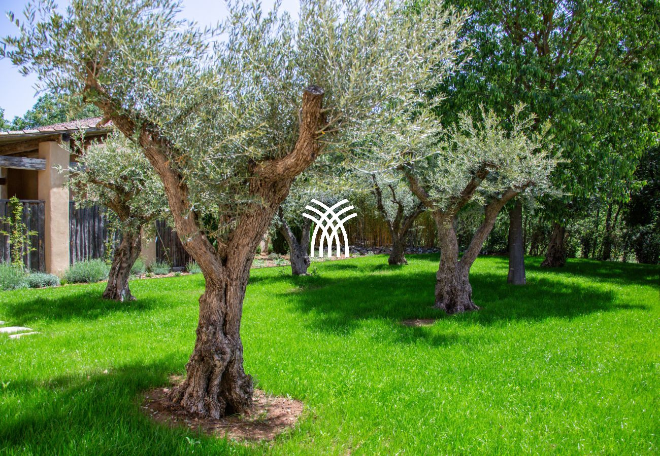 Villa in Saint Remy de Provence - Bergerie Aquino