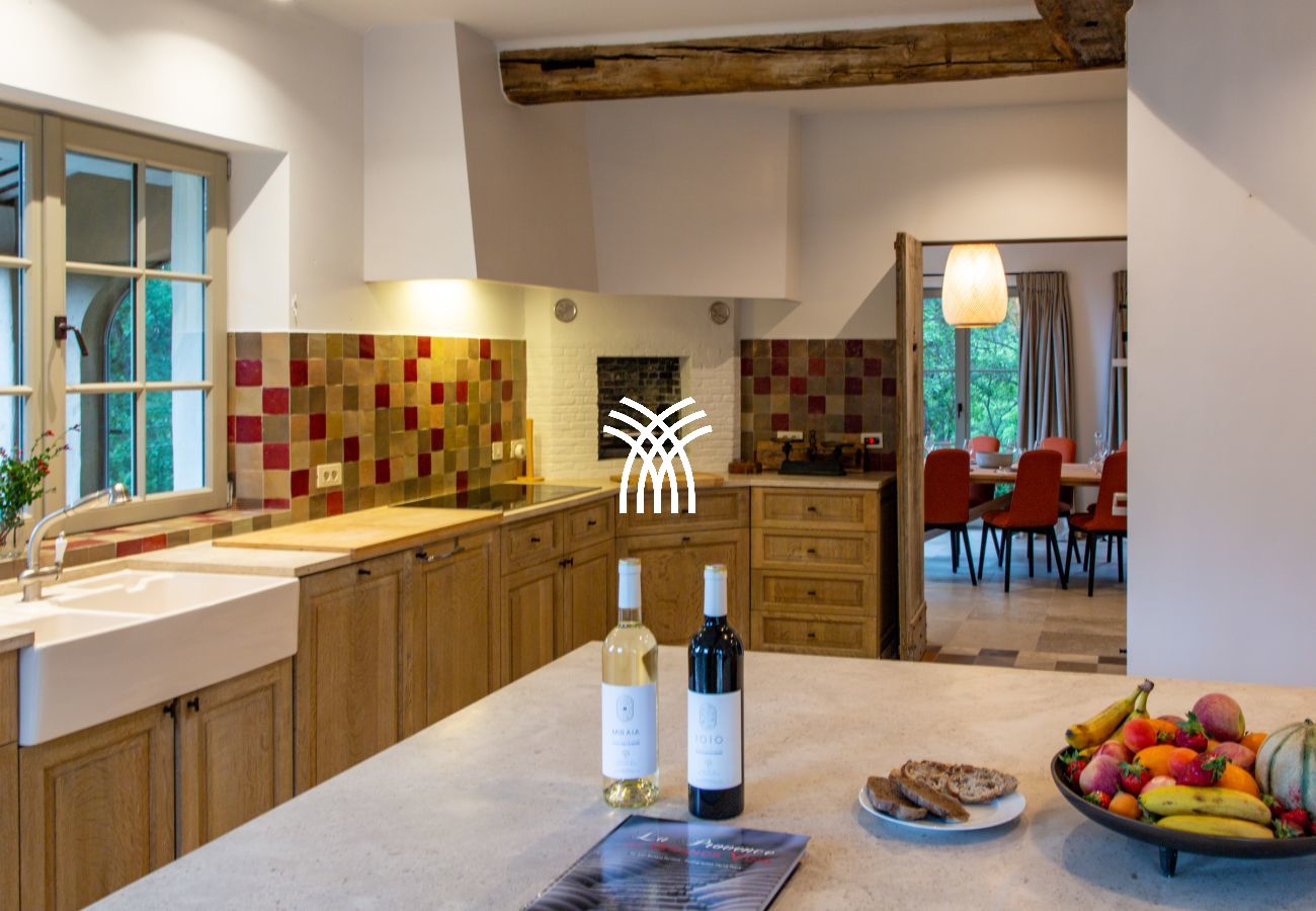 Villa in Saint Remy de Provence - Bergerie Aquino