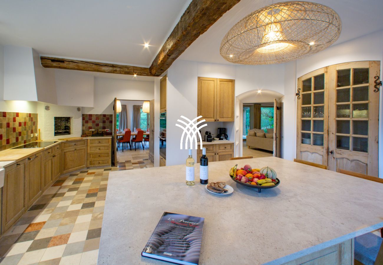 Villa in Saint Remy de Provence - Bergerie Aquino