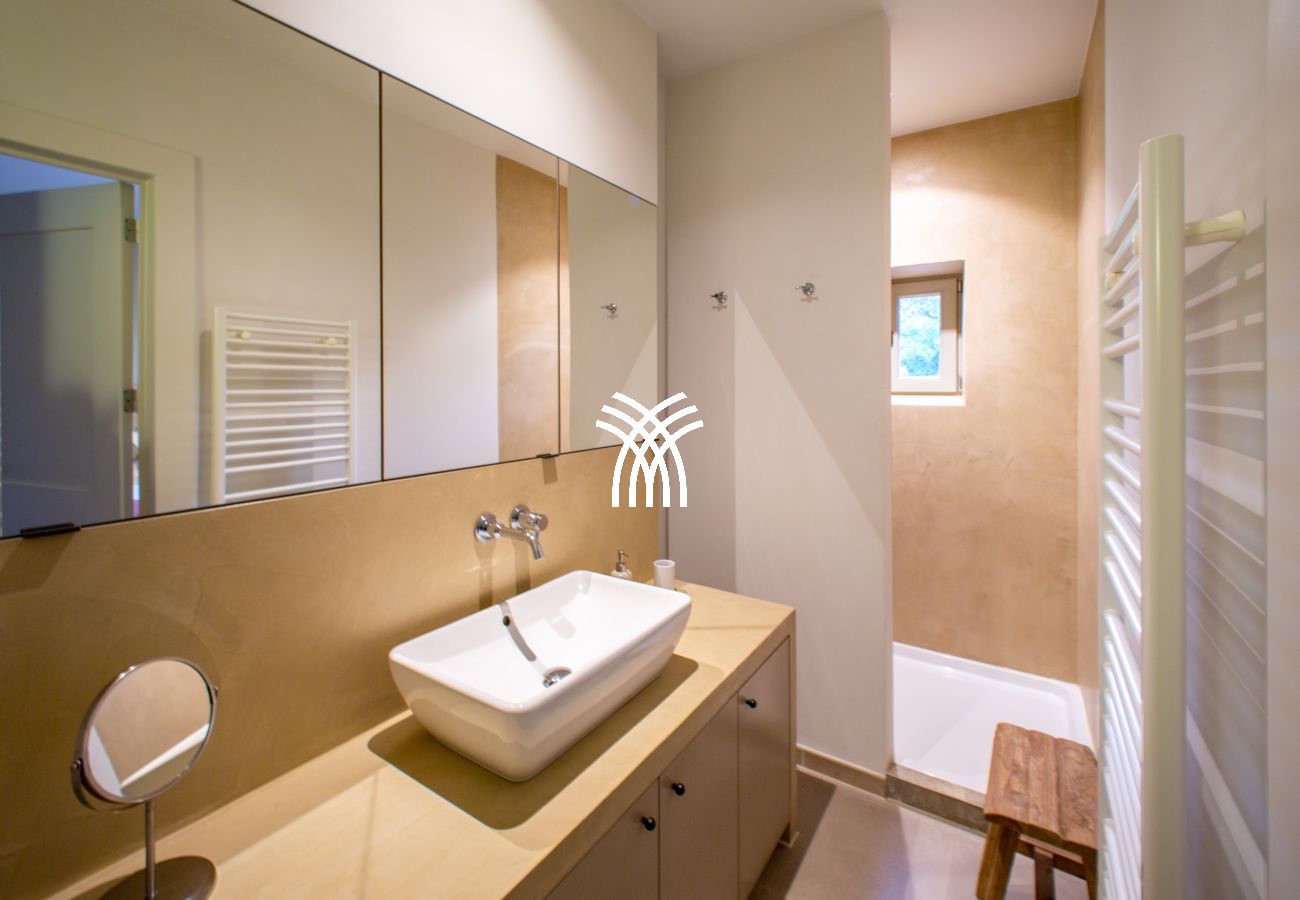 Villa in Saint Remy de Provence - Bergerie Aquino