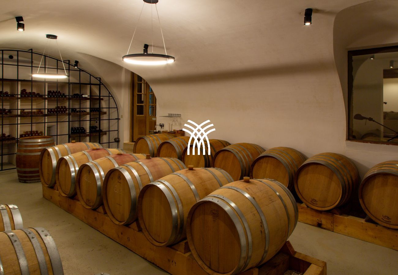 Villa in Saint Remy de Provence - Bergerie Aquino