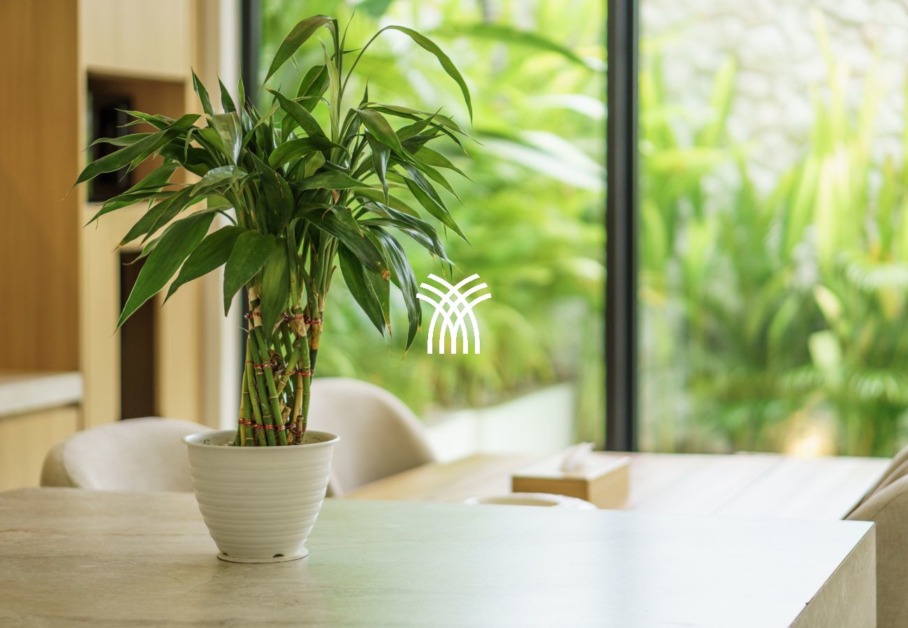 Villa in Pecatu - Oasia