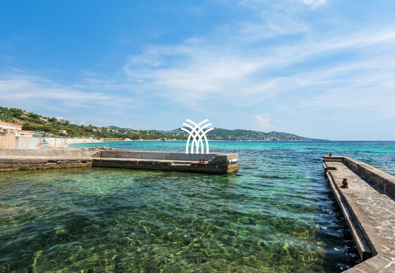 Villa in Sainte-Maxime - Charlotte